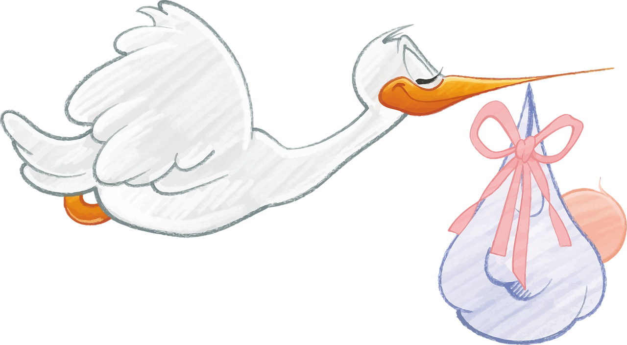 Stork delivering a baby – Image